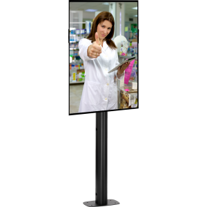 Digital Window Displays